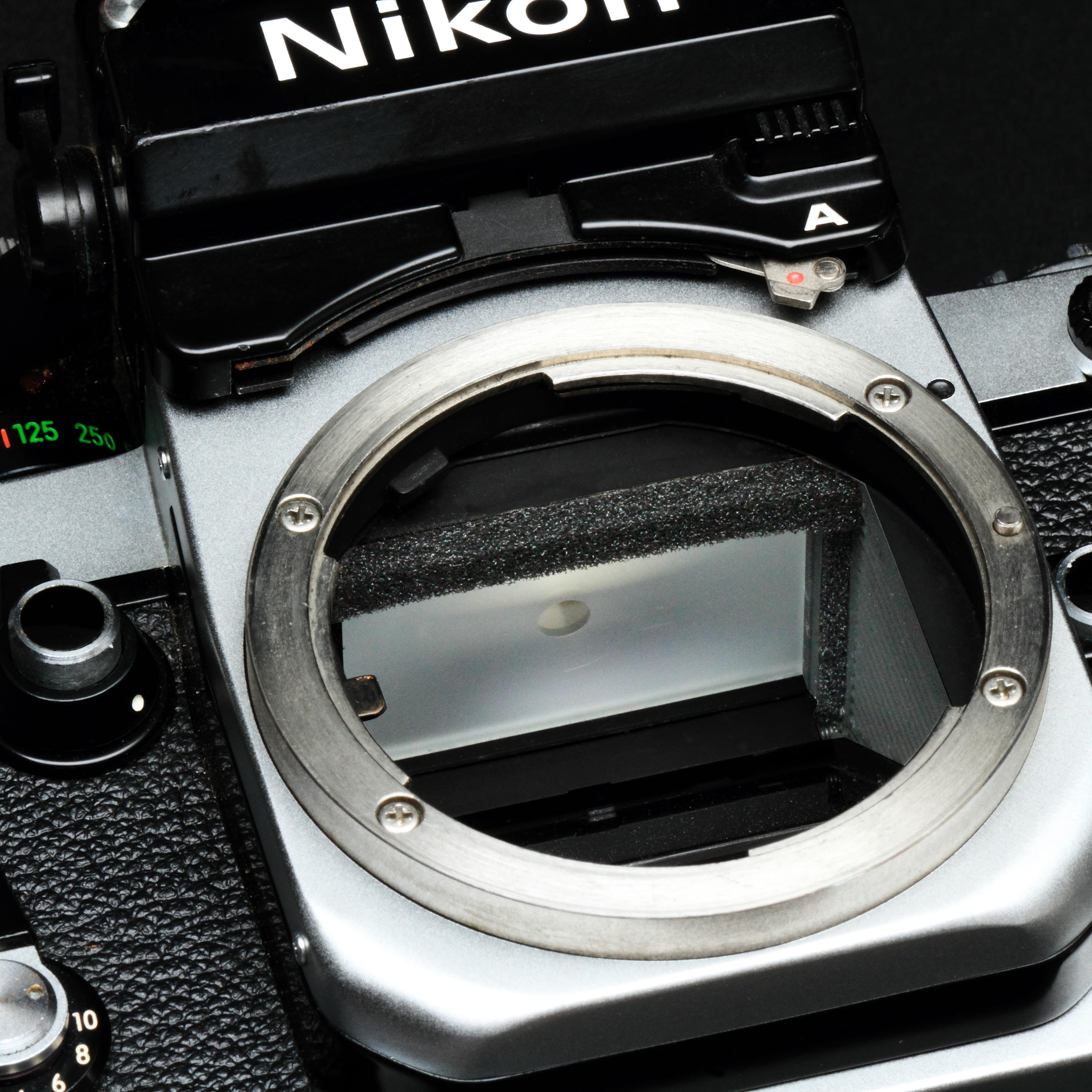 ���������ȿ���ɻߥե����ࡡ�Τ�ʤ���Ƚ��2.0�ߥ�ʸ��ߡˡ�500x500���礭����