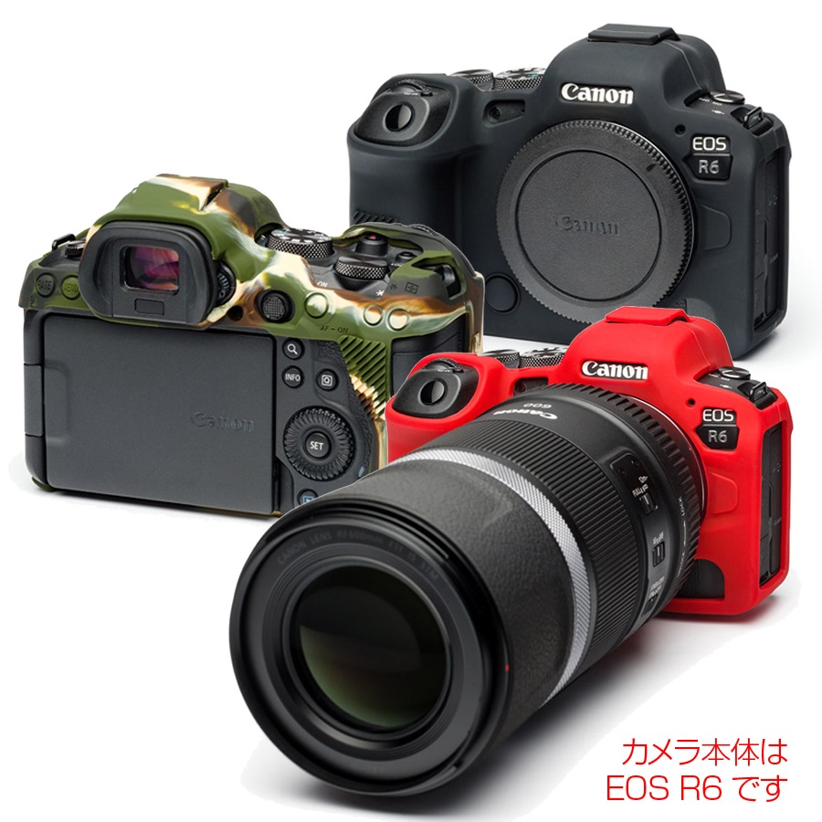 С Canon EOS R6 Mark II ѥå վݸե°