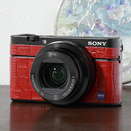 ˡCyber Shot RX-100M3ĥץå 8020 å