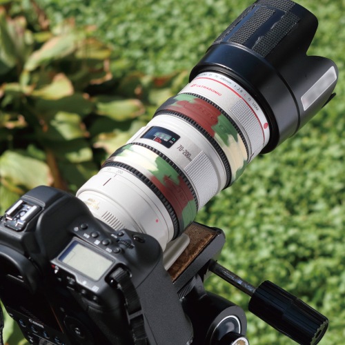 �����������С�����󥺥�󥰣��ĥ��åȡڥ���ե顼�����