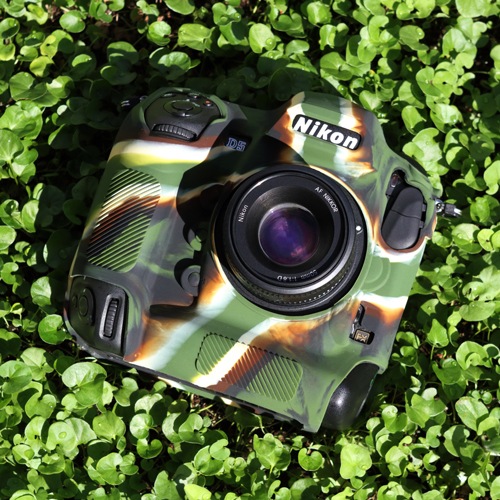 С Nikon D5  ե顼