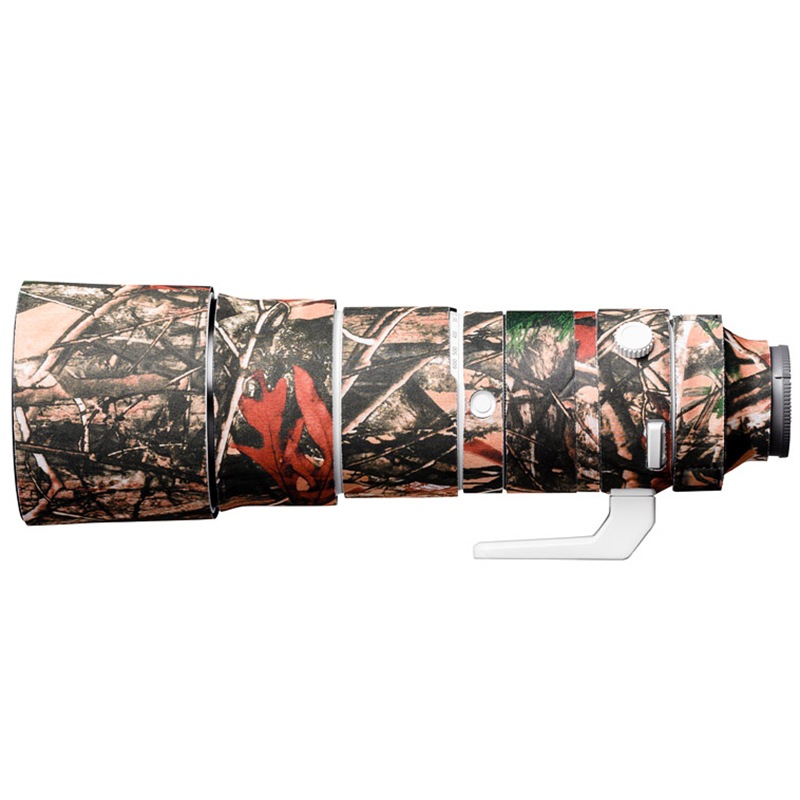 �����������С� ��󥺥����� ���ˡ� FE 200-600 F5.6-6.3 G OSS  �ѡ��ե��쥹�� ����ե顼����