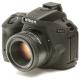 �����������С� Nikon D5600 �� �֥�å�
