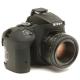 �����������С� Nikon D5600 �� �֥�å�