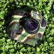 С Nikon D5  ե顼