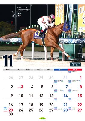 ���ζ��ϥ�������2026