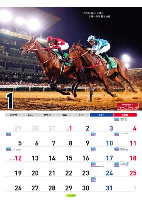 ���ζ��ϥ�������2026