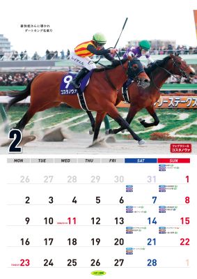 ���ζ��ϥ�������2026