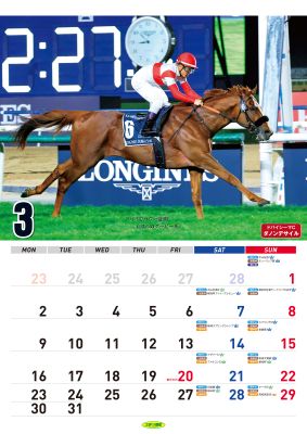 ���ζ��ϥ�������2026