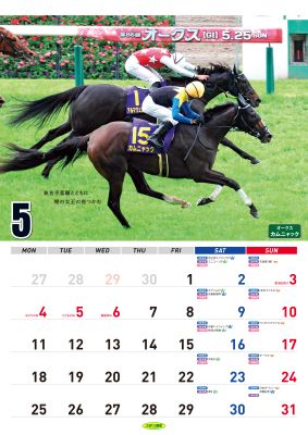 ���ζ��ϥ�������2026