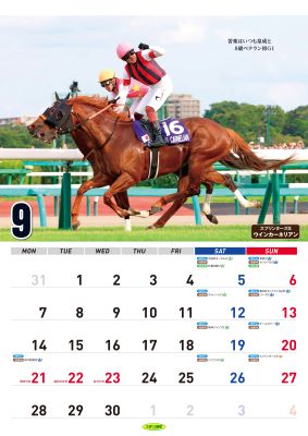 ���ζ��ϥ�������2026