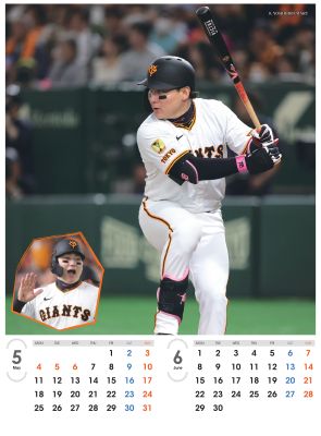 ���㥤��������ꥫ������2026���ݲ¹�