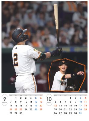 超激レア ジャイアンツ 2018年 カレンダー 新品未使用 超激レア ジャイアンツ 2018年 カレンダー 新品未使用 TVアニメ