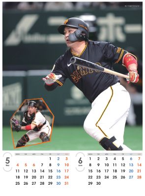 ���㥤��������ꥫ������2026����������