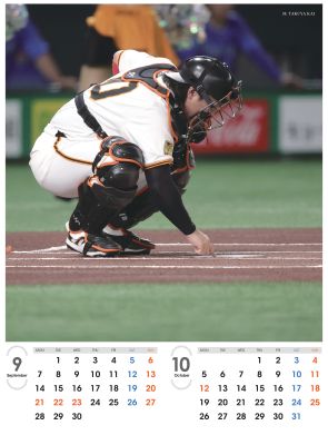 ���㥤��������ꥫ������2026����������