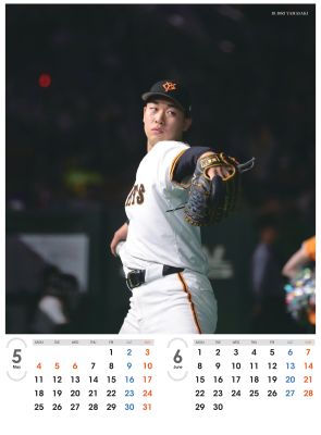 ���㥤��������ꥫ������2026�������˿�