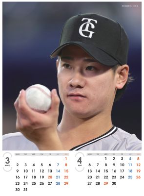 ���㥤��������ꥫ������2026����岹��