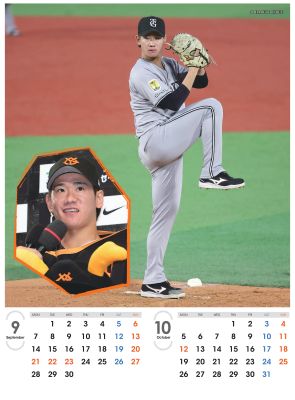 ���㥤��������ꥫ������2026����岹��