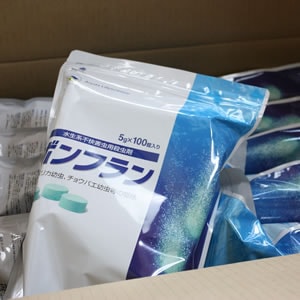 �ܥ�ե��5���100�� �� 10������/������