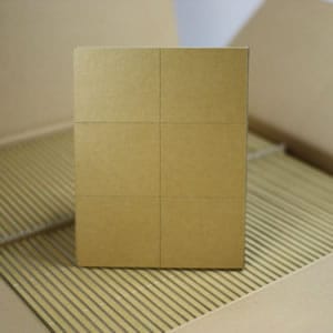 �ץ��ܡ��ɥɥ饤 100��/������ �ͥ�����Ǵ����