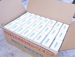 �����奢�����顼��180g��24Ȣ/������