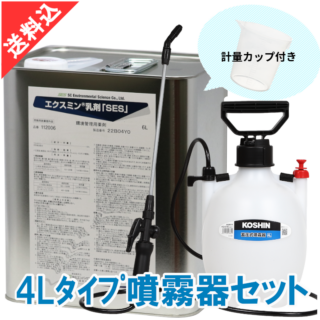 ߥޡSES6L 4Lʮ̸糧å