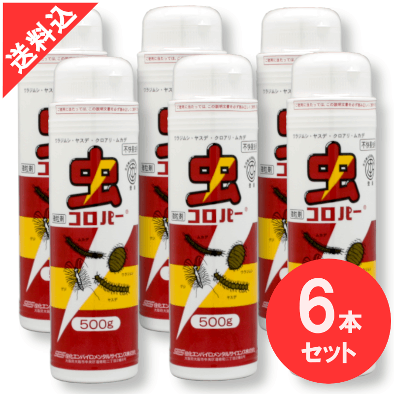 ����ѡ� 500g��6�ܥ��å�