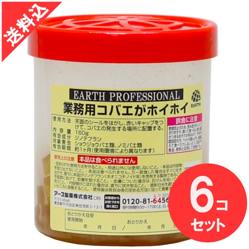 ��̳�ѥ��Х����ۥ��ۥ���6�ĥ��å�