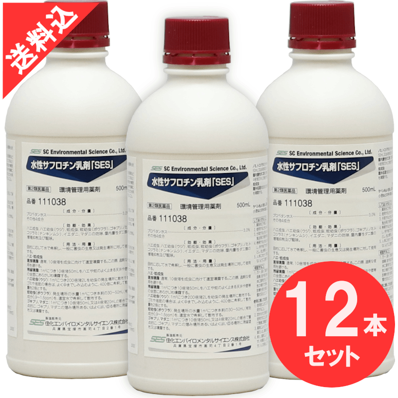 2ʡۿեޡSES500ml12/ Х֥ͥ¾