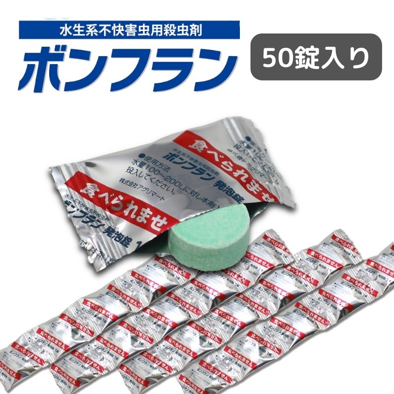 ���祦�Х� �楹�ꥫ����� �ܥ�ե��5���50��