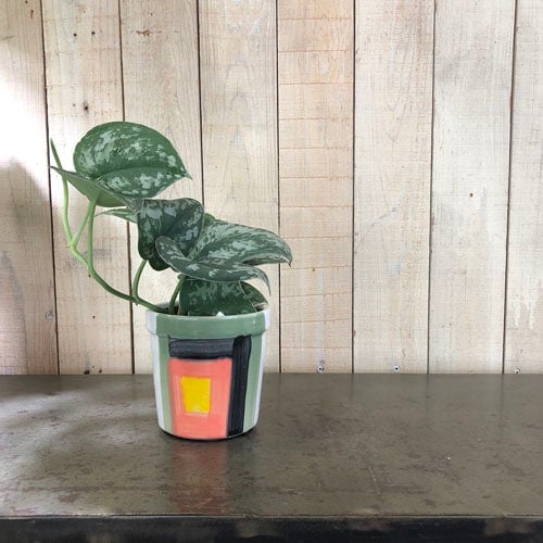 特集,STYLISH POT｜芳樹園オンラインショップ