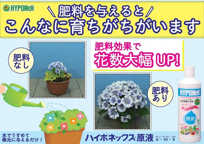 原液レイシオ 800ml ハイポネックス｜芳樹園オンラインショップ