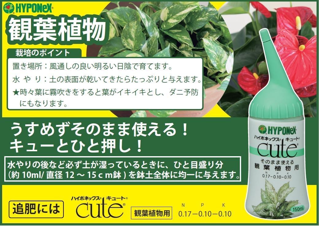 キュート 観葉植物用 150ml ハイポネックス｜芳樹園オンラインショップ