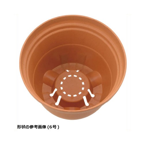 ひよと メモリ16GB版のGeForce RTX 5060 TiがZOTACから、デュアルファン