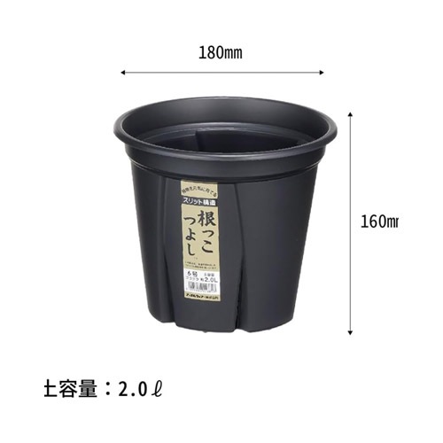 根っこつよし 6号 ブラック アップル｜芳樹園オンラインショップ