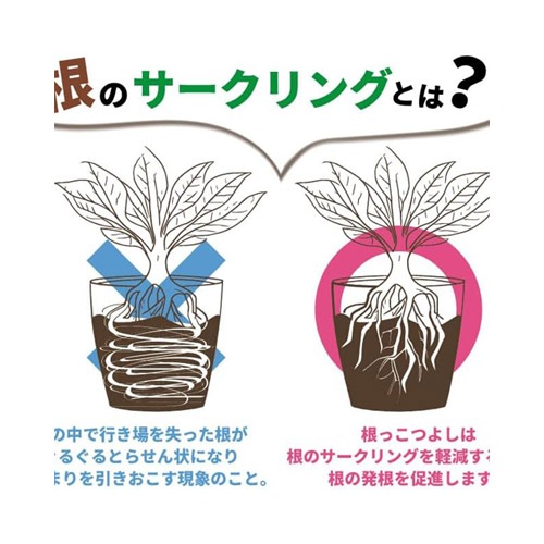 根っこつよし 6号 ブラック アップル｜芳樹園オンラインショップ