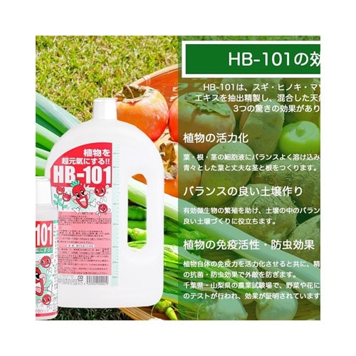 ＨＢ-101 100cc×6本 HB-101 100cc フローラ｜芳樹園オンラインショップ