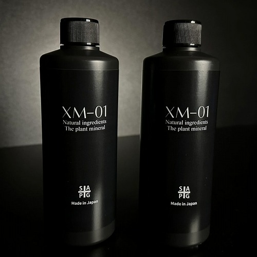 Y*e様 【ラスト小葉/安心の発根済株/鉢込/新芽3か所程度】 斑入り パンダガ 玉ちゃんズ（ツゲ） . 写真1枚目右側が何年も前に植えた お店の