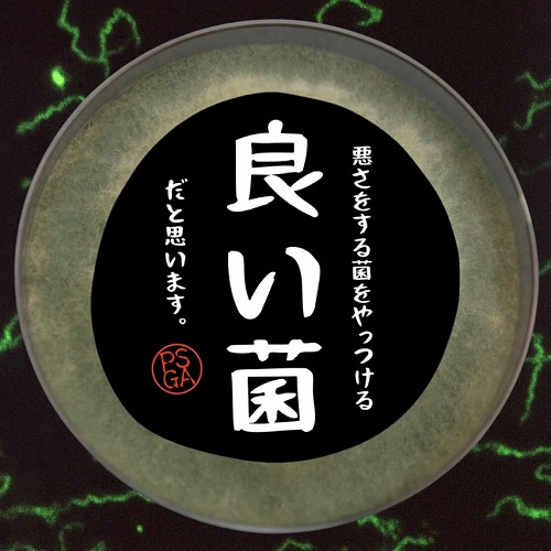 固形塗布型】ベアルート専用 発根促進剤 SA-ROOTS BLACK POWDER