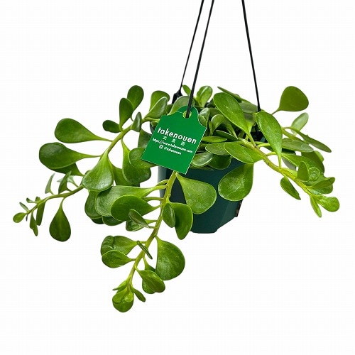 ゴーハム sterling 透かし鉢 187g トコニ 東さ7-0304② ゴーハム ゴーハム sterling 透かし鉢 187g トコニ 東さ7-0304② ゴーハム