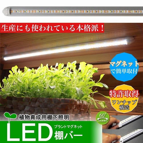 植物育成ライト LED プラントマグネット棚バー【1本点灯セット】 横浜