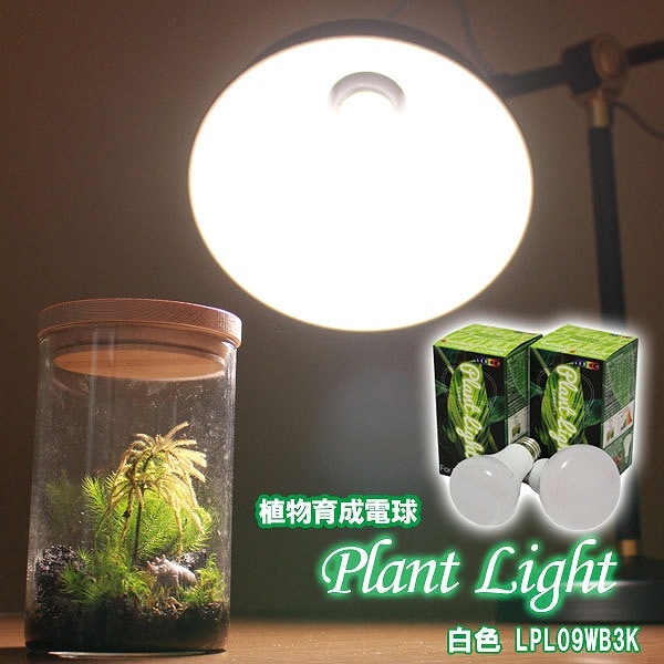 種類・用途,育成ﾗｲﾄ・補助用品,電球・ライト｜芳樹園オンラインショップ