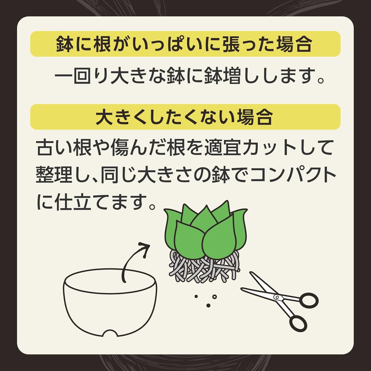 MY PLANTS(マイプランツ) 健やかに育てるソイル アガベ・多肉・塊根