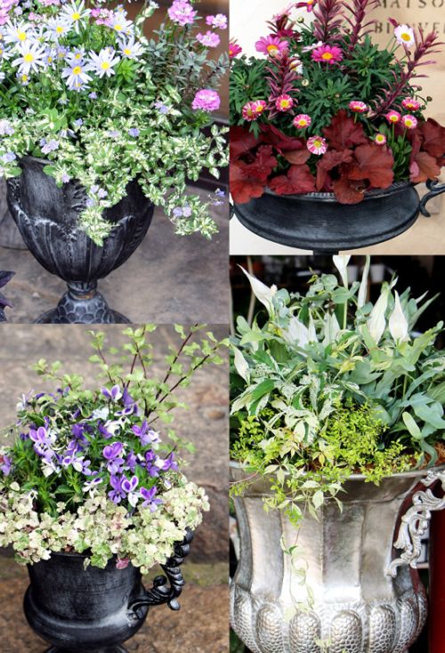 クラシカルティン T-8(W37.5×D30×H24cm)｜芳樹園オンラインショップ