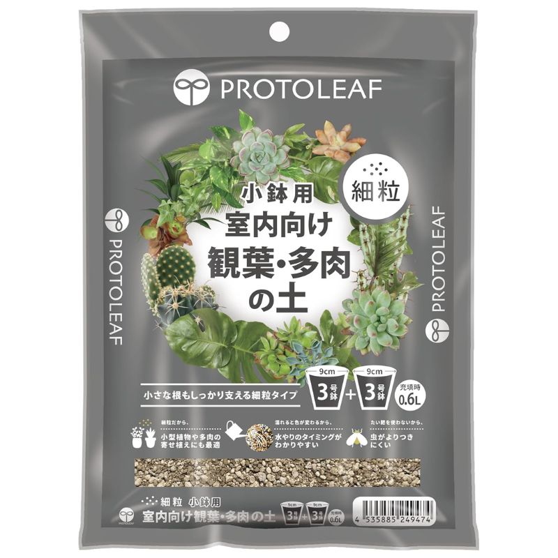 Y*e様 【ラスト小葉/安心の発根済株/鉢込/新芽3か所程度】 斑入り パンダガ メーカー,プロトリーフ｜芳樹園オンラインショップ