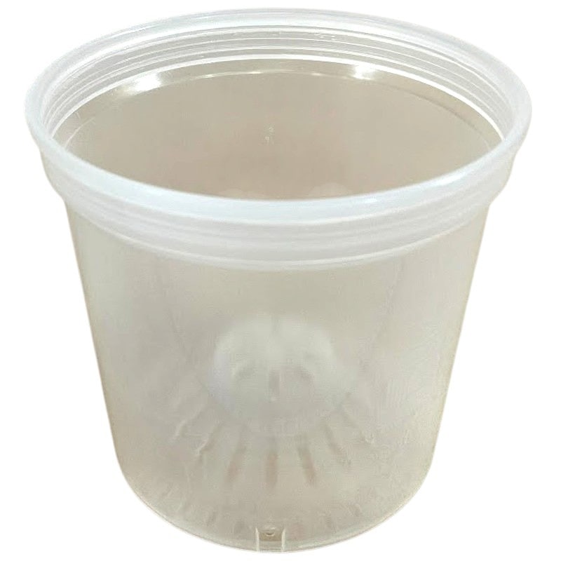 Jolie Nursery モスポール鉢 5.5号 透明(鉢単品)｜芳樹園オンライン