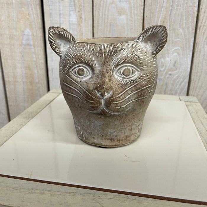 【専用、鉢のみ】 種類・用途,鉢・プランター,陶器・焼き物類｜芳樹園オンラインショップ
