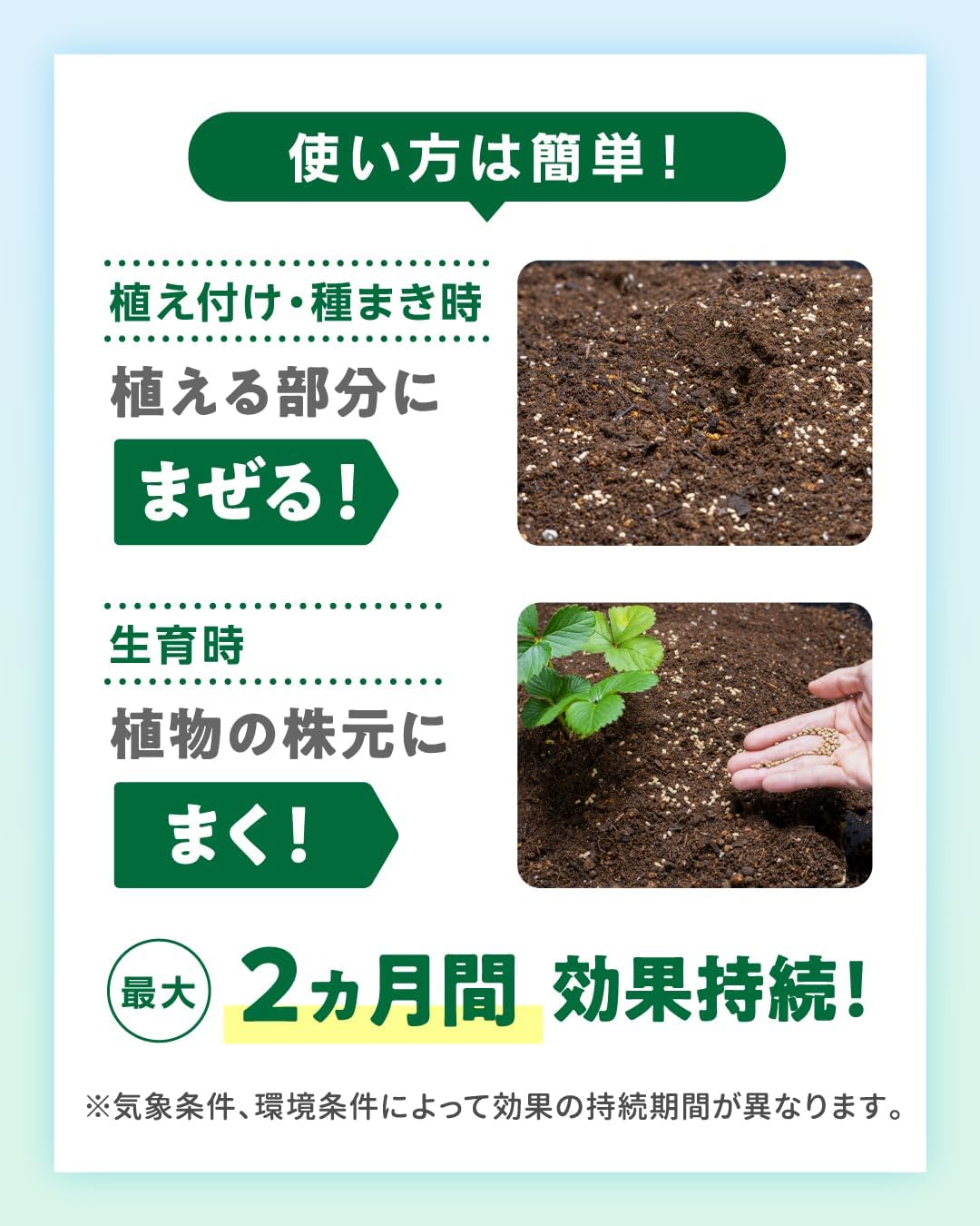X-ENERGYロング 粒タイプ 700g KINCHO園芸｜株式会社芳樹園 LEAFS