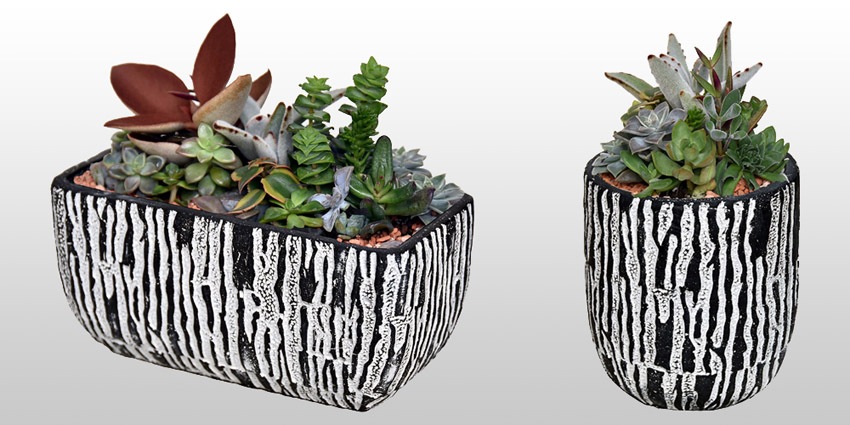 ゼブロームポット ZP-1(φ12.5×H15cm)｜芳樹園オンラインショップ