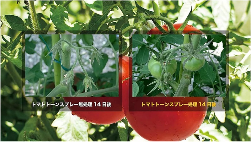 日産トマトトーンスプレー 420ml 住友化学園芸｜芳樹園